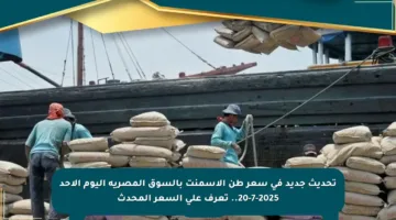 تحديث جديد في سعر طن الأسمنت بالسوق المصرية اليوم الأحد 20-7-2025.. تعرف على السعر المحدث